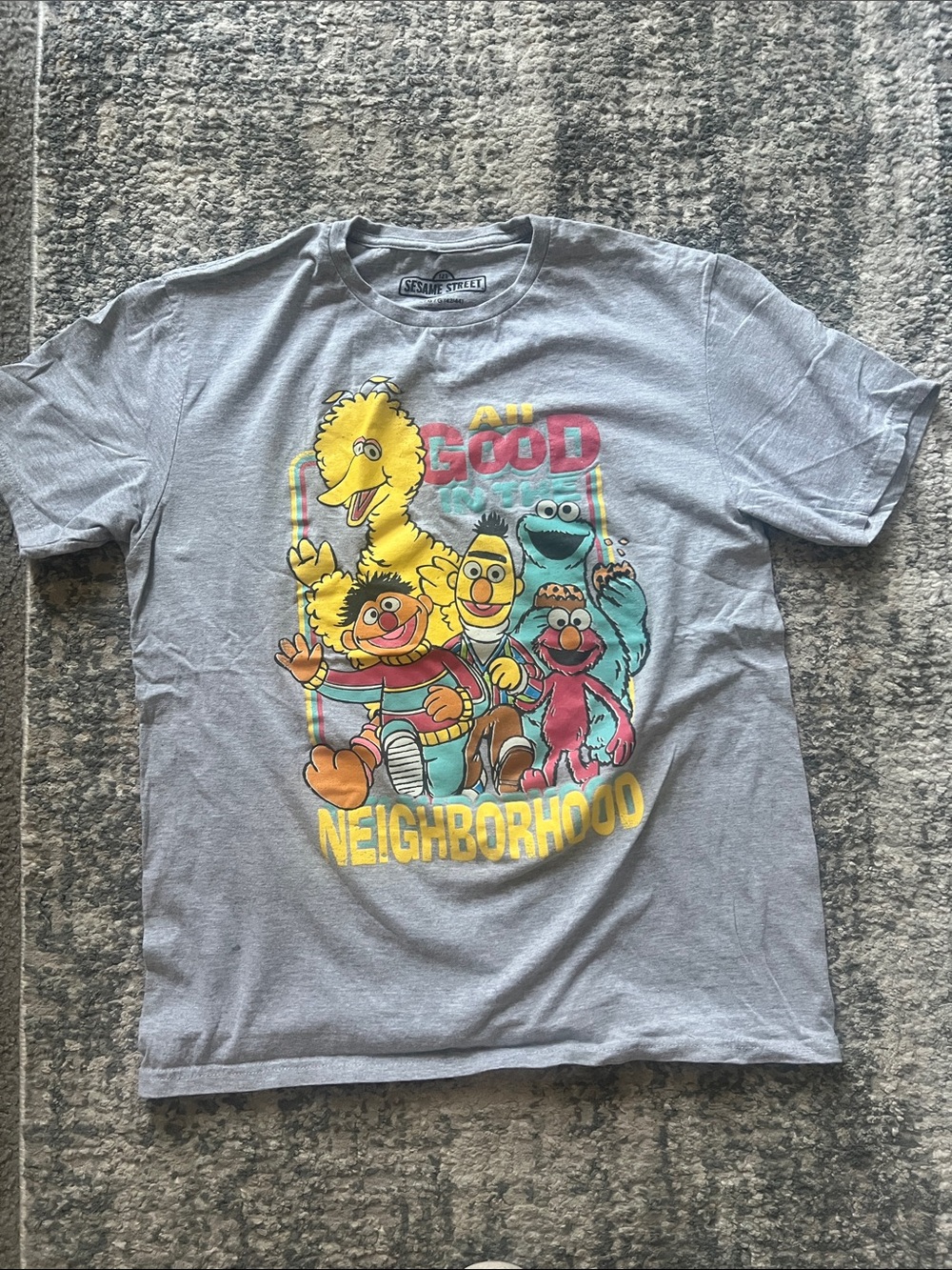 Sesame Street Gray Graphic Tee with Colorful Character Print